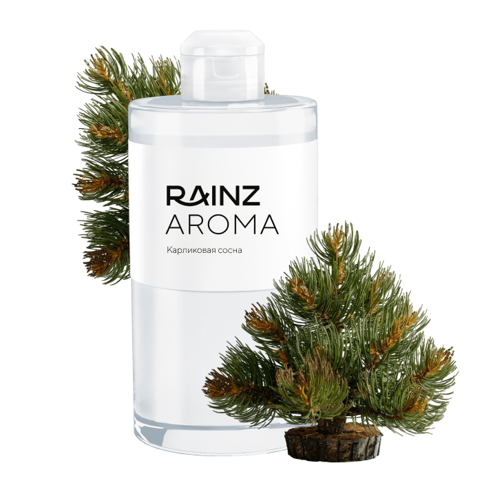 Карликовая Сосна